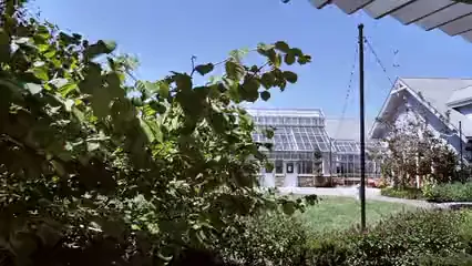 Horizontal video: Walking towards the greenhouse 4166103. Duration: 4 seconds. Resolution: 3840x2160