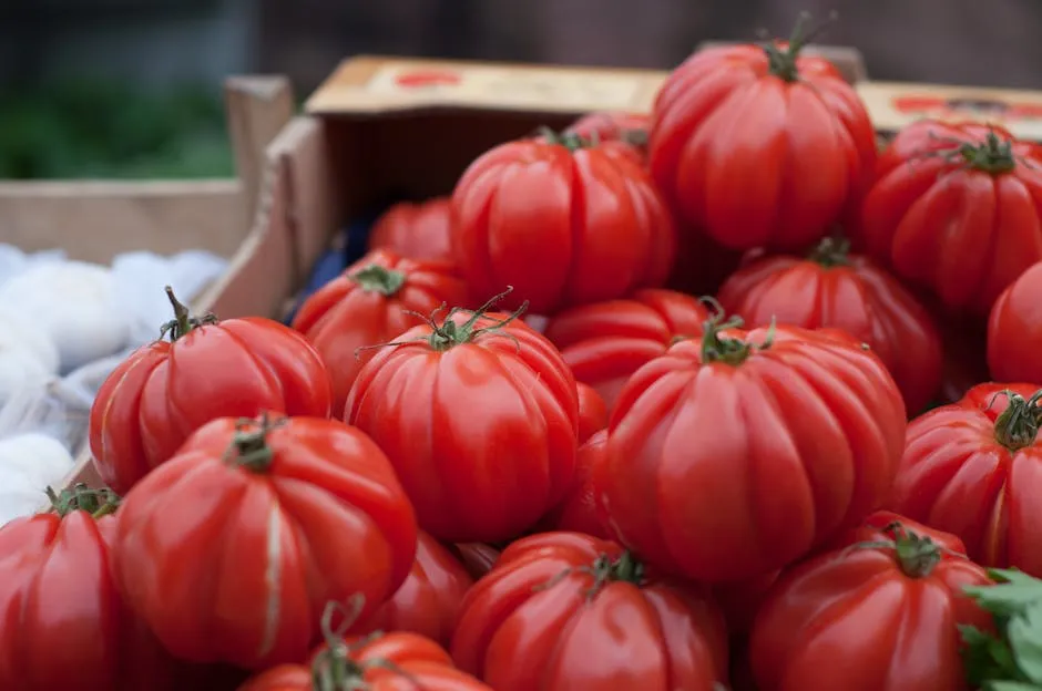 Bunch of Red Tomatoes