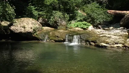 Horizontal video: Long shot of cascade in the woods 6754986. Duration: 30 seconds. Resolution: 1920x1080