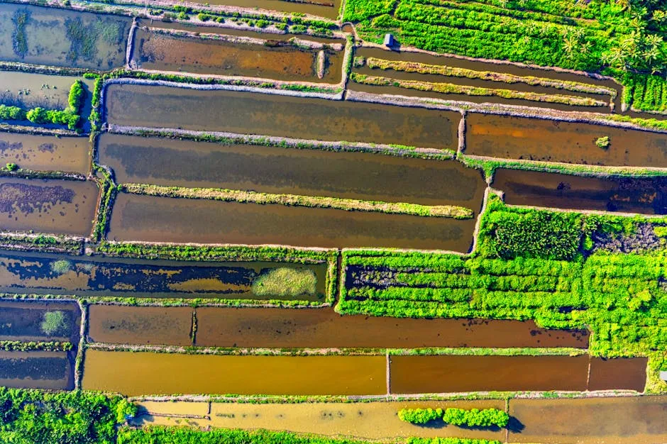 Top View Photo of Farmland