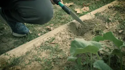 Horizontal video: A person doing gardening 9041934. Duration: 9 seconds. Resolution: 3840x2160