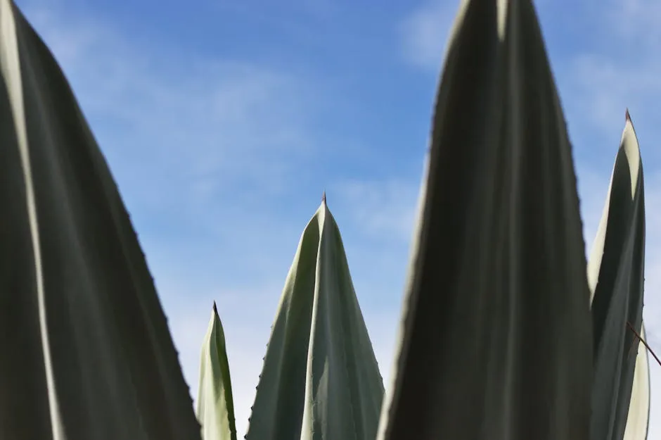 Closeup Photography of Green Long Leafed Plants