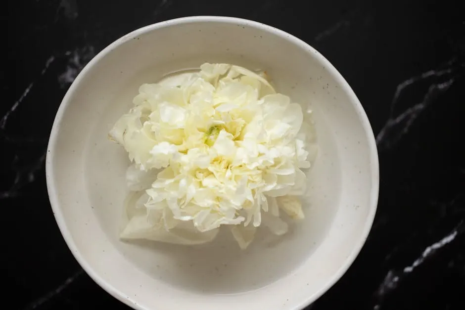 Blooming white peony placed in plate with water
