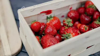 Horizontal video: Basket full of strawberries 4747773. Duration: 8 seconds. Resolution: 1920x1080