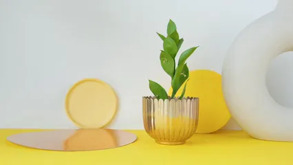 Horizontal video: Studio shot of a person watering indoor plant 7242532. Duration: 11 seconds. Resolution: 3840x2160