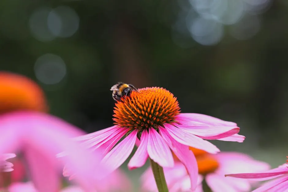 Close-up of a Bee on a Pink Flower