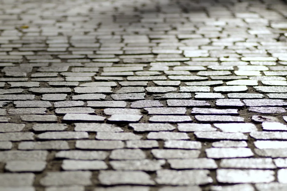 Gray Stone Pathway