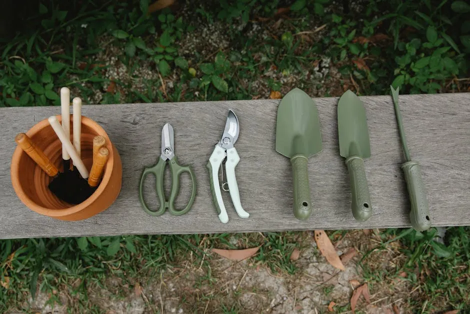 Top view of row of scissors secateurs shovels and tools for loosening soil near pot with instruments on wooden bench in garden