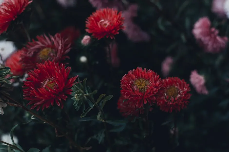 Blooming Red and Pink Flowers