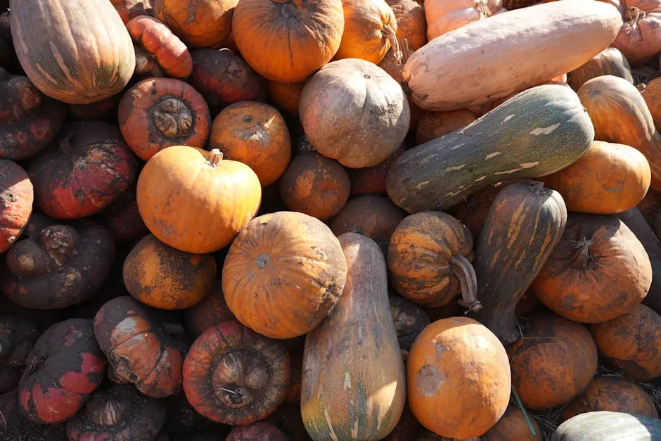 Squash varieties