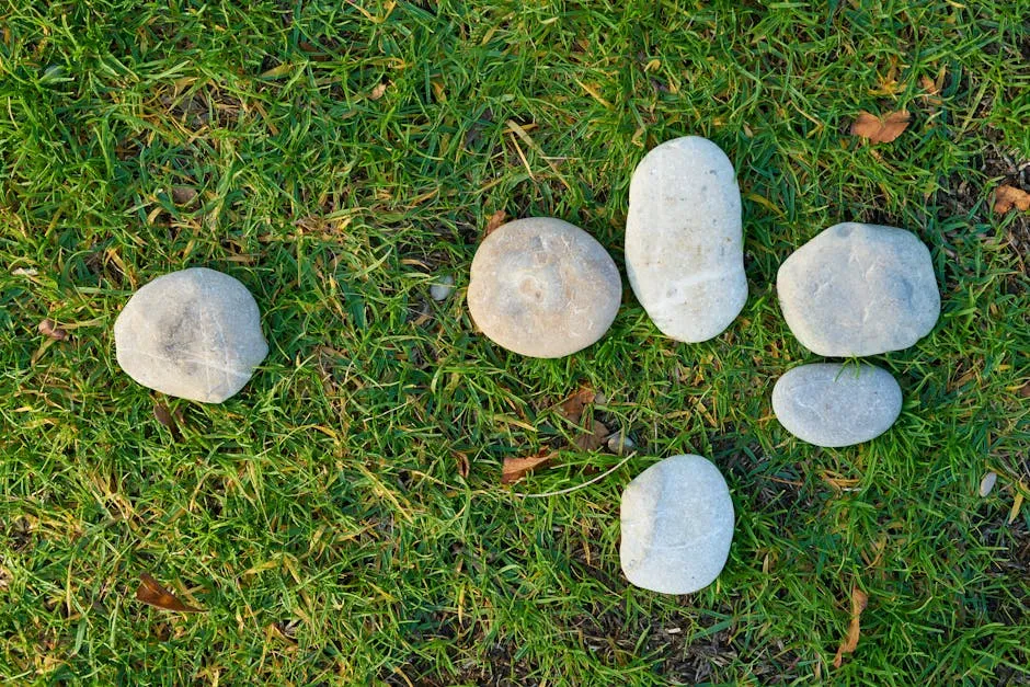 Six Gray Stone on Lawn Grass