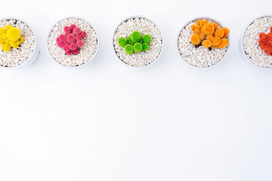 Five Multicolored Potted Plants