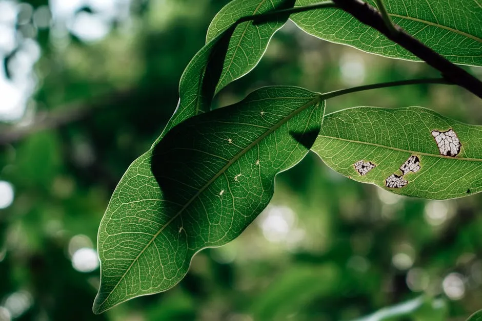 Close-up of Green Leaves with Sunlight and Shadows