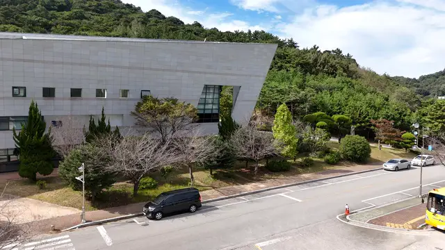 Horizontal video: Modern urban architecture and greenery scene 29117576. Duration: 21 seconds. Resolution: 3840x2160