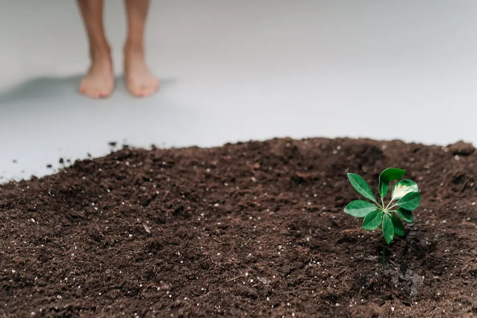 Close-Up Shot of Plant on Soil