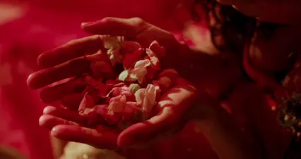 Horizontal video: A woman putting flower petals on a metal plate 9328796. Duration: 19 seconds. Resolution: 4096x2160