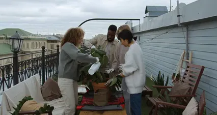 Horizontal video: Friends celebrating after a successful repotting 9731964. Duration: 39 seconds. Resolution: 4096x2160