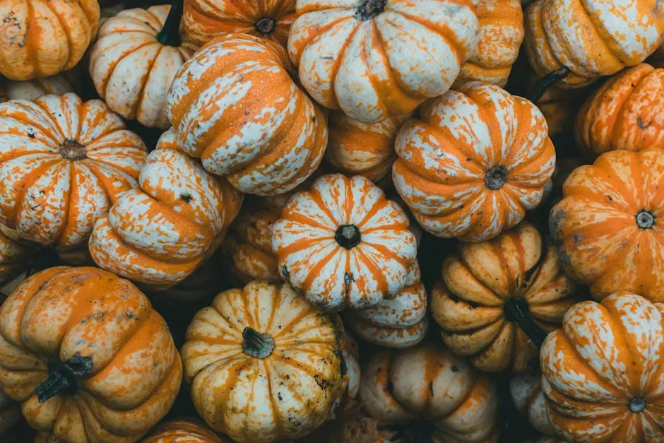 Abundance of Pumpkins 