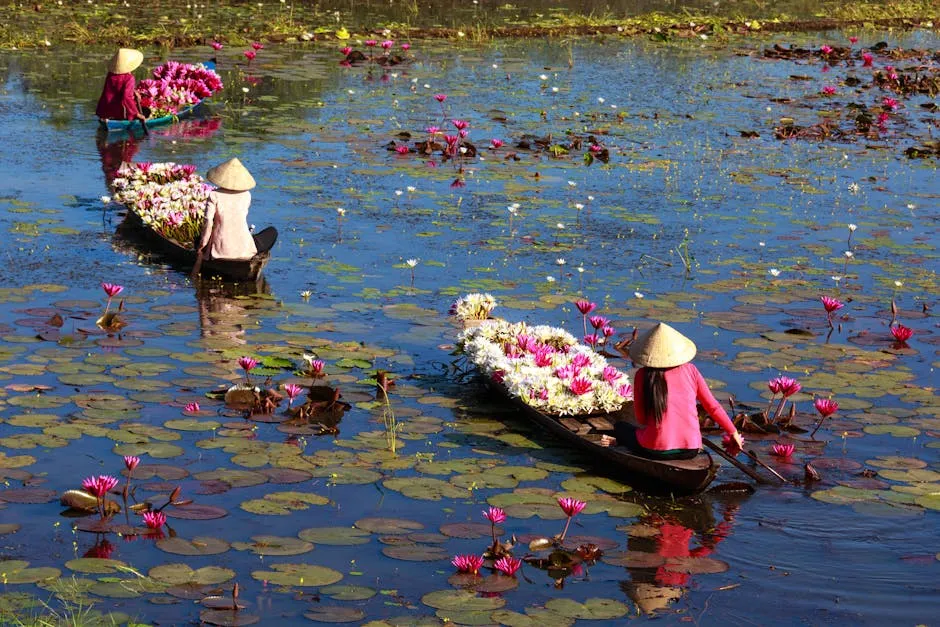 Three Women Riding Boats with Lotus Flowers