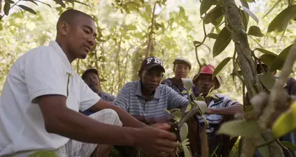 Horizontal video: A man teaching farmers new farming method 4009877. Duration: 6 seconds. Resolution: 4096x2160