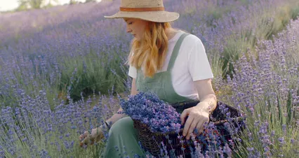 Horizontal video: Beautiful young adult woman picking flowers in fields 5125038. Duration: 23 seconds. Resolution: 4096x2160