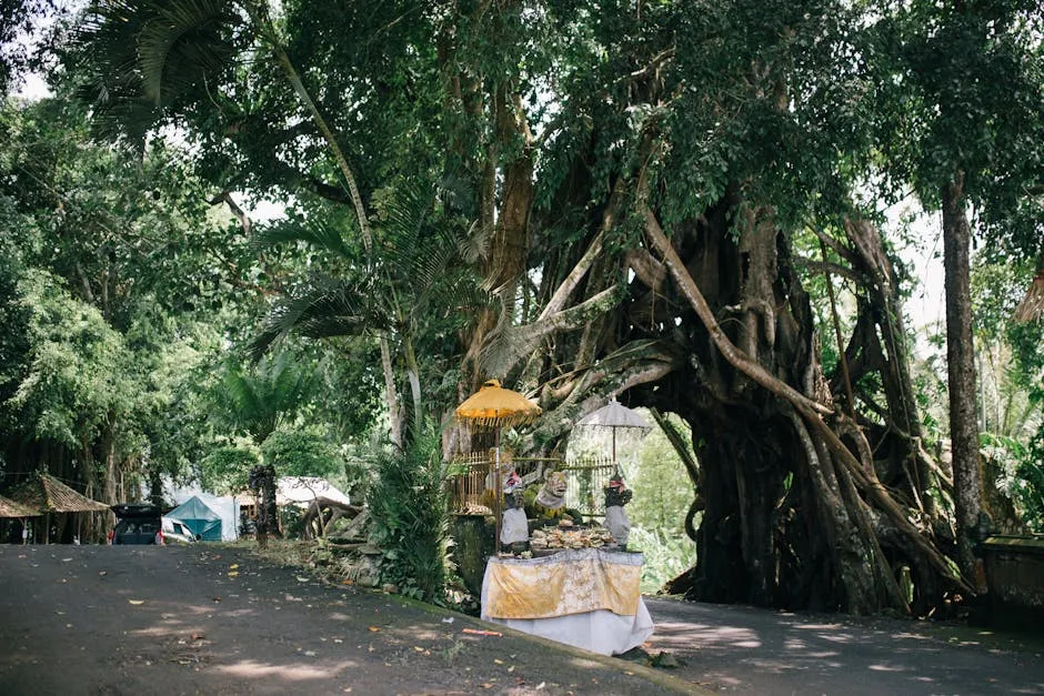 Old Tree Arch in Tropical Forest