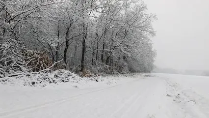 Horizontal video: Snowfall in a snowy field 6076331. Duration: 31 seconds. Resolution: 3840x2160