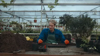 Horizontal video: Man planting seedlings on a pot tray 6508933. Duration: 19 seconds. Resolution: 3840x2160