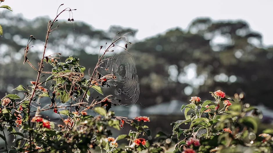 Selective Focus of Spider-web on Green Leaf Plant