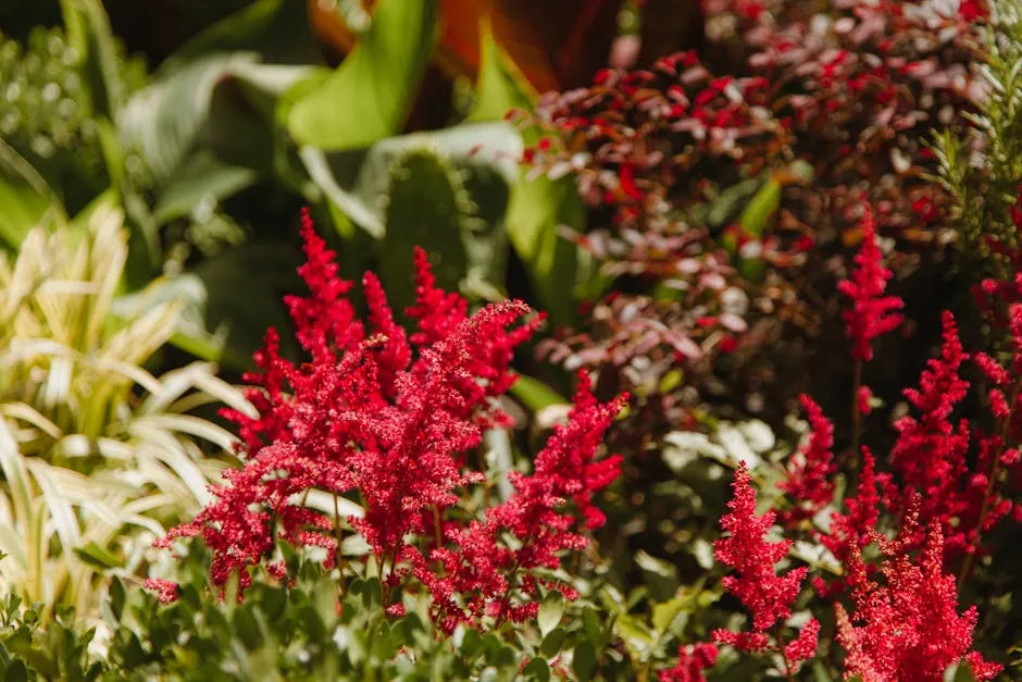 Close-Up Photo of Red Flowers