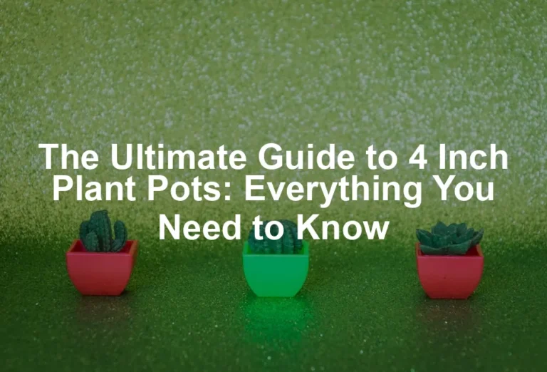 Featured image for The Ultimate Guide to 4 Inch Plant Pots: Everything You Need to Know