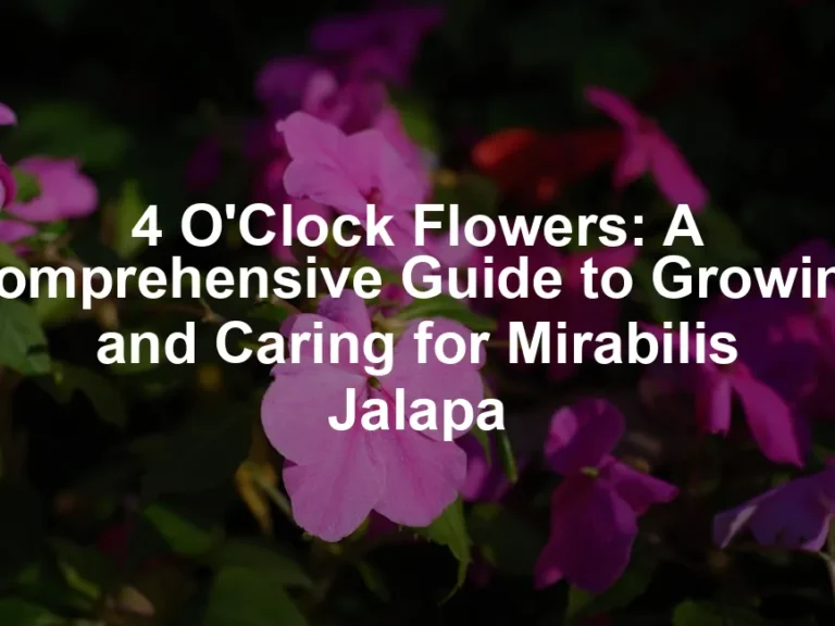 Featured image for 4 O'Clock Flowers: A Comprehensive Guide to Growing and Caring for Mirabilis Jalapa