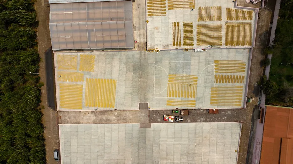 Bird's Eye View of Crops on Pavements for Sun Drying