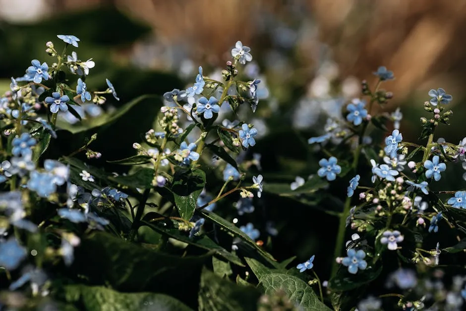 Wildflowers Growing in Garden