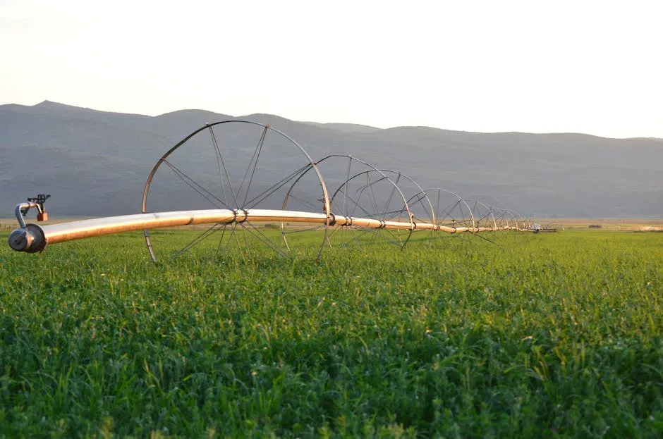 Irrigation System on Field