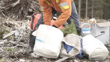 Horizontal video: A person putting plants on the bag 7004320. Duration: 19 seconds. Resolution: 1920x1080