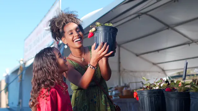 Horizontal video: Woman holding a strawberry plant 7456491. Duration: 8 seconds. Resolution: 3840x2160