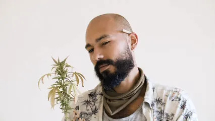 Horizontal video: A man looking at a cannabis plant 7927225. Duration: 11 seconds. Resolution: 3840x2160