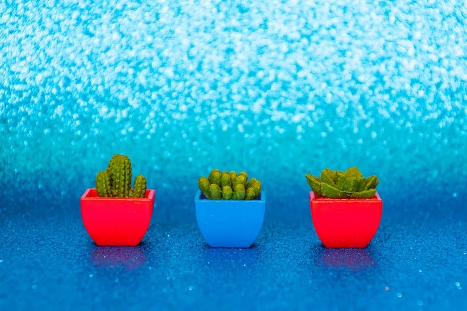 Three Green Cactus