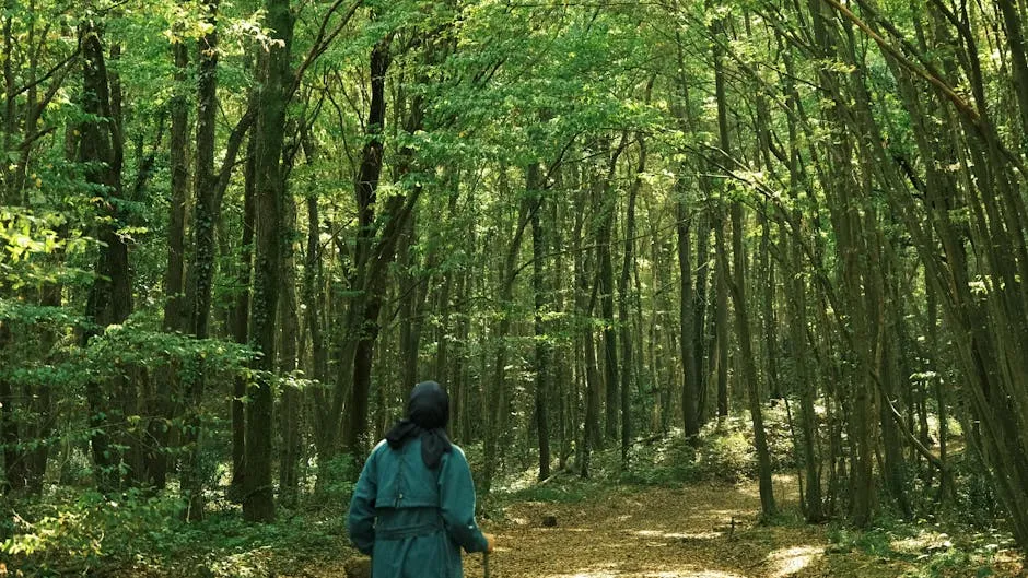 Woman Walking in a Sunlit Forest Path