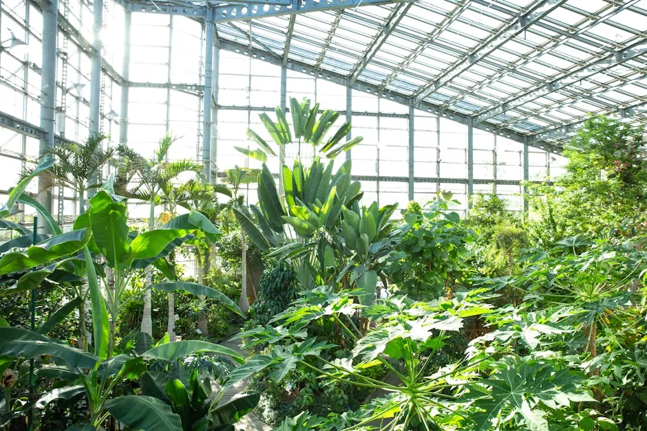 Green plants growing in modern glass greenhouse