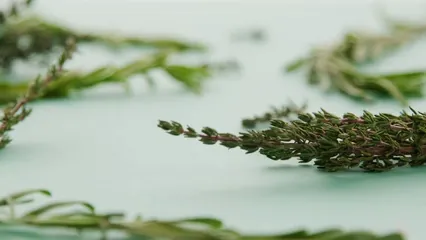Horizontal video: Close up of a rosemary 5864117. Duration: 18 seconds. Resolution: 3840x2160