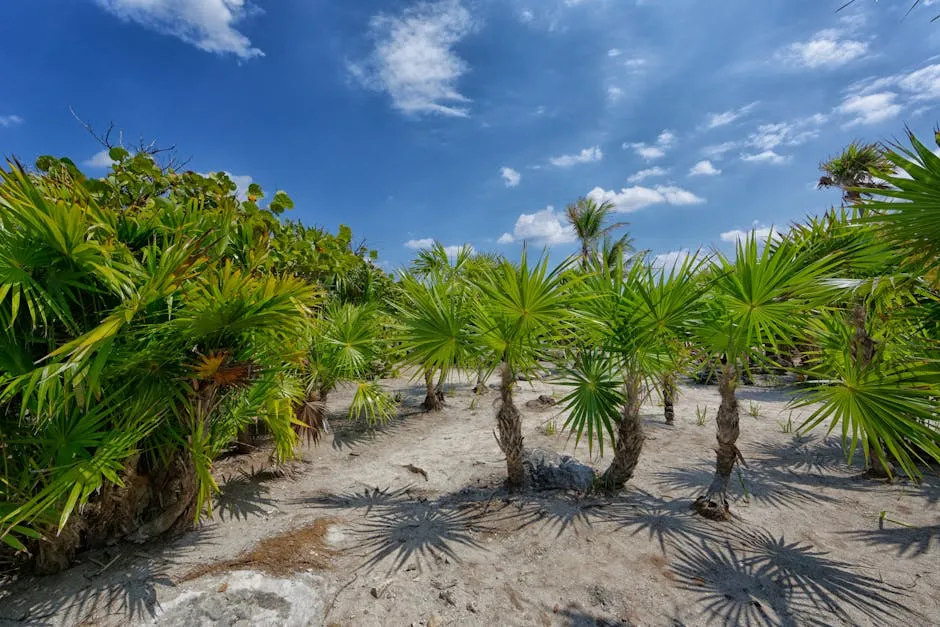 Green Yucca Plant Under Blue Sky