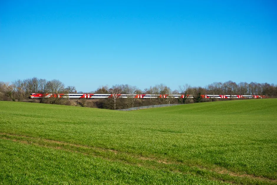 Green Grass Field Under Blue Sky