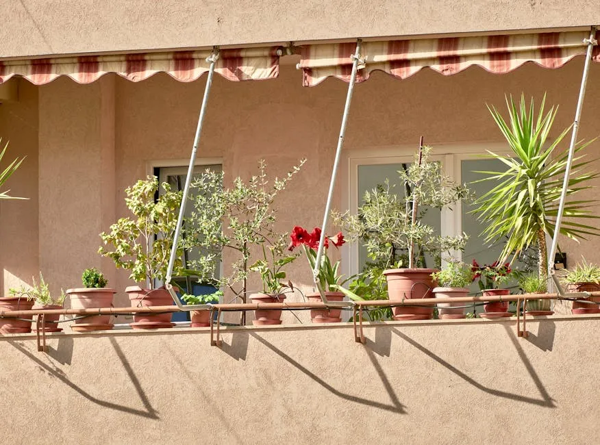 Potted Plants on a Balcony