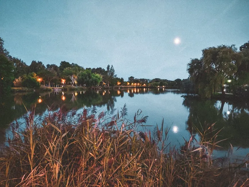 Moon Reflection in a Body of Water at Dusk 