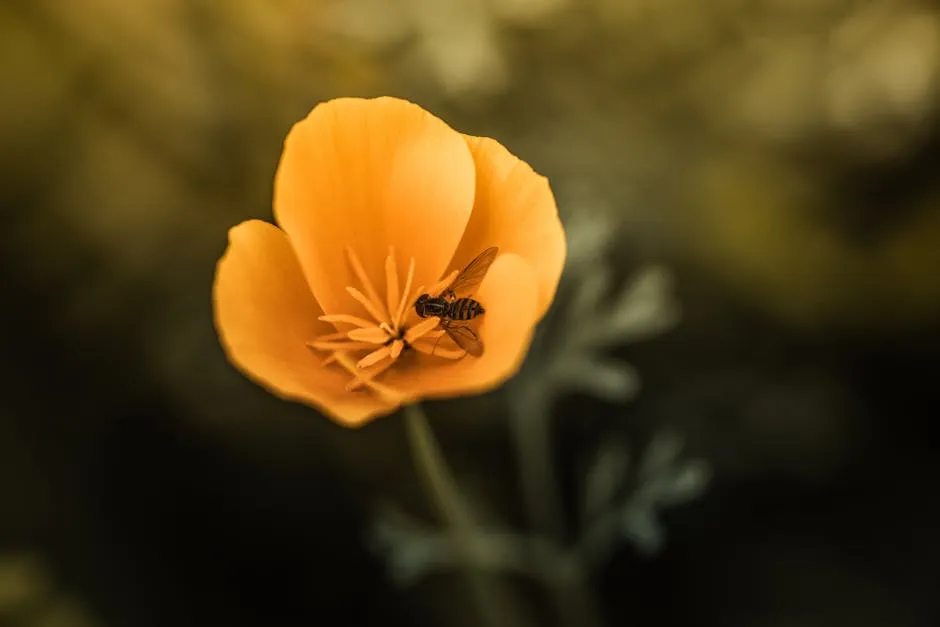 Close-up of Bee Sitting on Flower