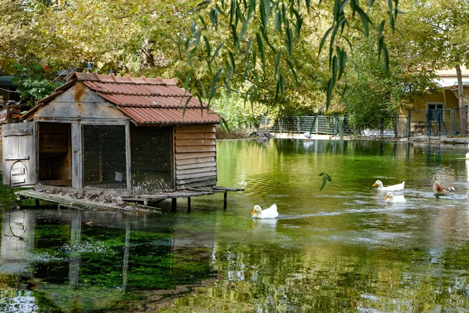 Rustic Wooden Duck House on Tranquil Lake