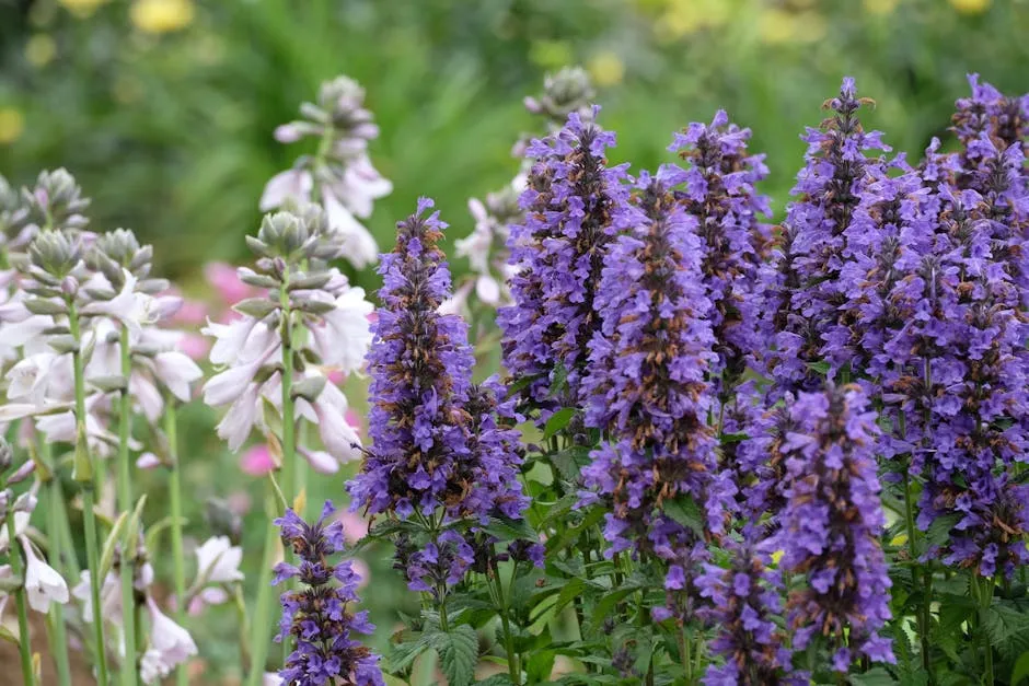 Vibrant Purple and White Flowers in Bloom