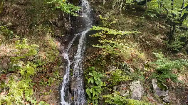 Horizontal video: Tranquil forest waterfall in lush greenery 29083468. Duration: 25 seconds. Resolution: 3840x2160